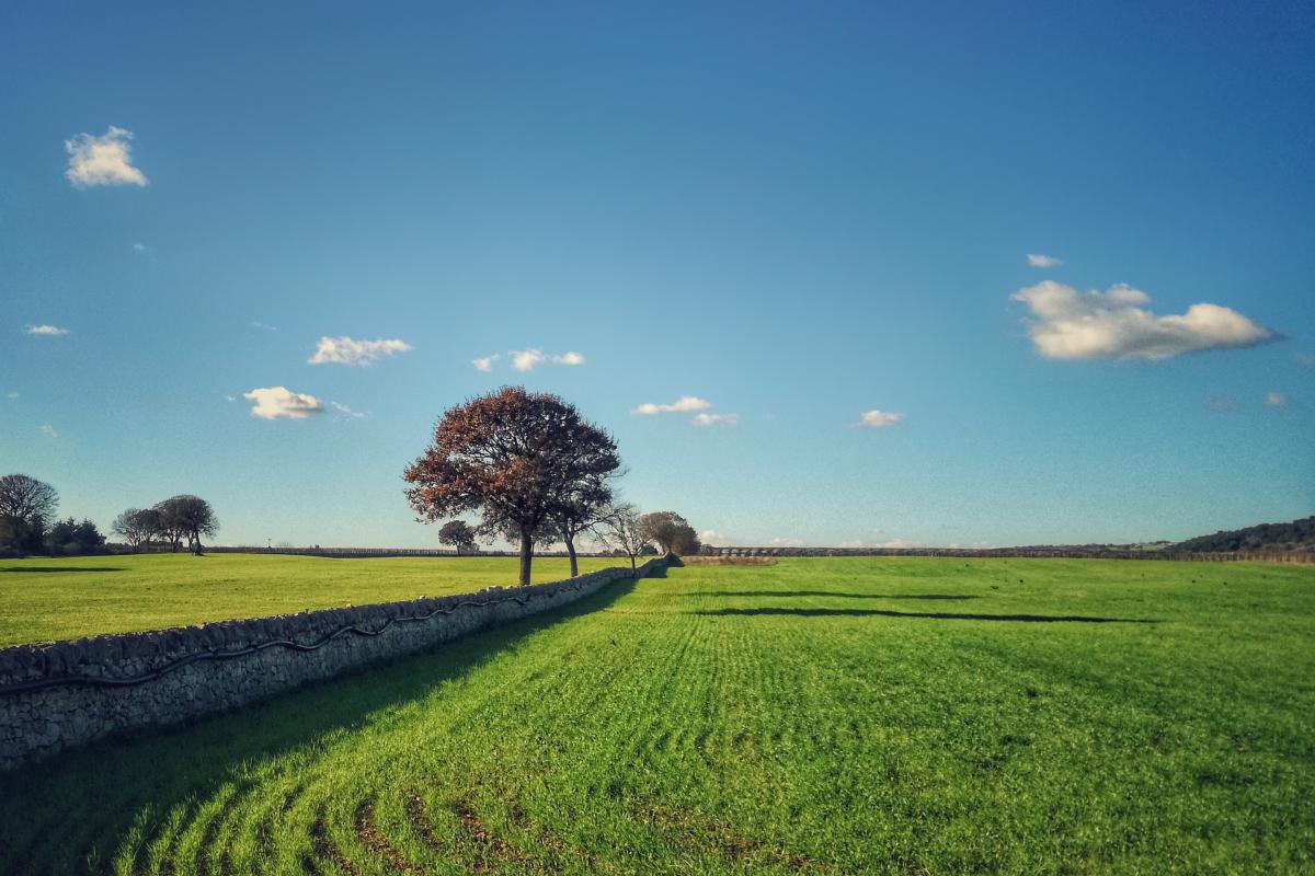 Campagna di Alberobello